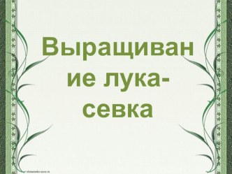 Презентация по технологии на тему Выращивание лука-севка