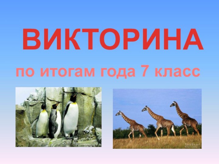 ВИКТОРИНАпо итогам года 7 класс