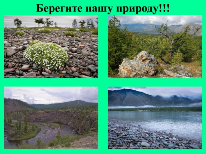 Берегите нашу природу!!!