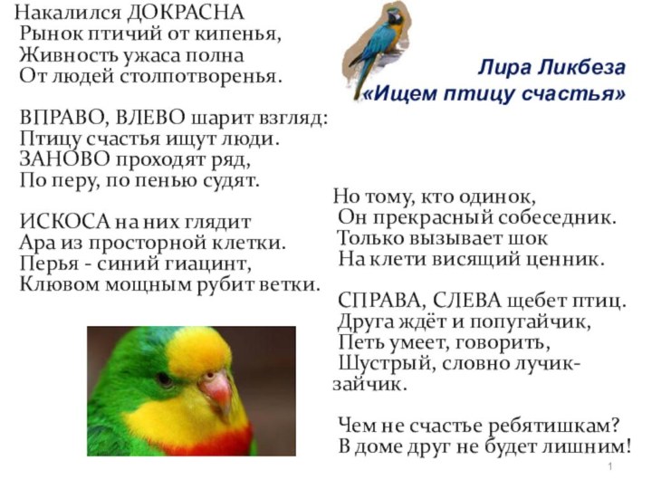 Накалился ДОКРАСНА  Рынок птичий от кипенья,  Живность ужаса полна  От людей столпотворенья.