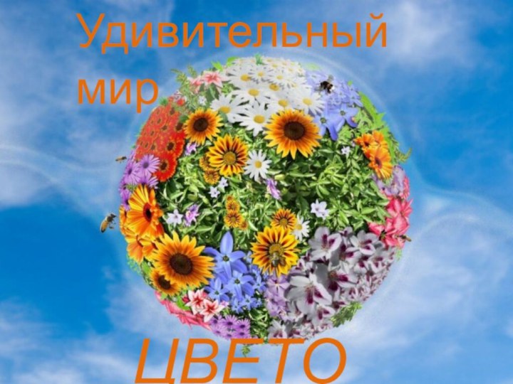 Удивительный мирЦВЕТОВ