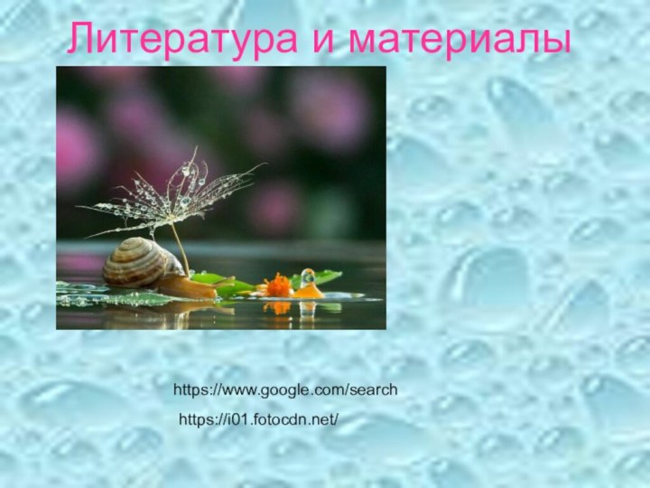 Литература и материалыhttps://www.google.com/searchhttps://i01.fotocdn.net/