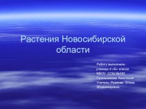 Презентация по теме: Растения Новосибирской области