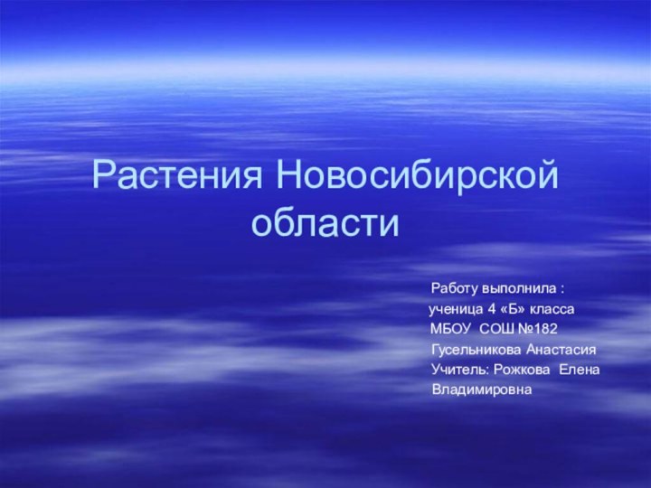 Растения Новосибирской области