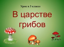 Урок-презентация В царстве грибов