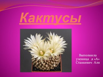 Презентация к уроку окружающего мира 2 класс Кактусы (Нач.шк. 21 век)