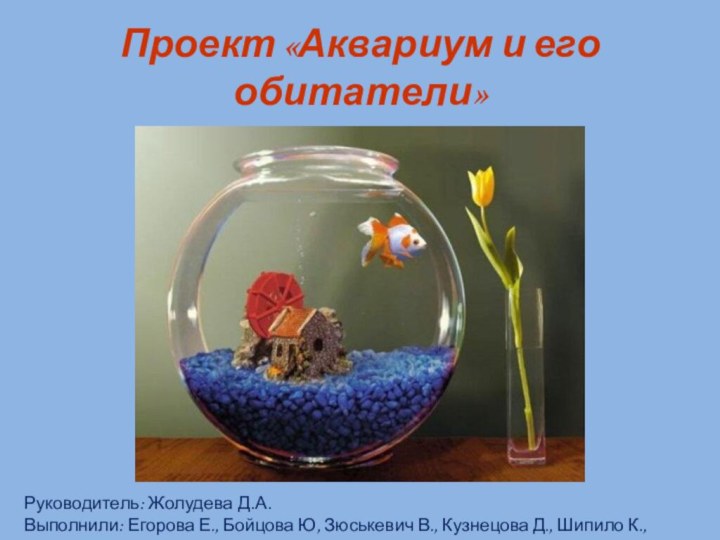 Проект «Аквариум и его обитатели»Руководитель: Жолудева Д.А.Выполнили: Егорова Е., Бойцова Ю, Зюськевич