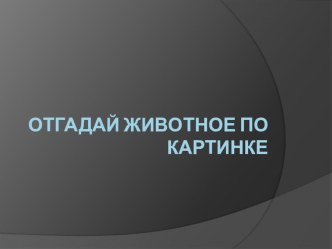 Презентация на свободную тему Отгадай животное по картинке