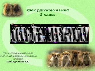 Большая буква в кличках животных