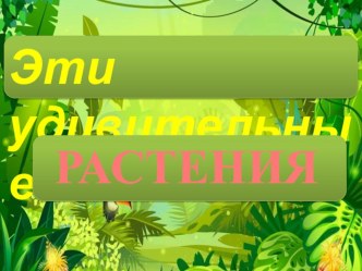 Презентация по биологии Эти удивительные растения