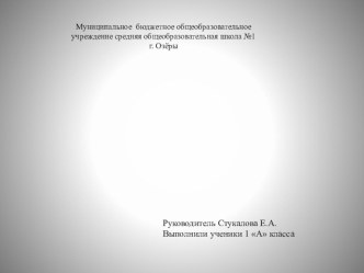 Презентация по курсу Земля - наш общий дом тема Дятел - лесной доктор 1 класс