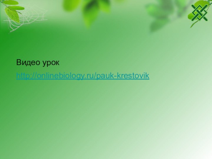 http://onlinebiology.ru/pauk-krestovik Видео урок