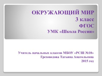 Презентация Итоговый тест за 2 четверть по окружающему миру (3 класс)