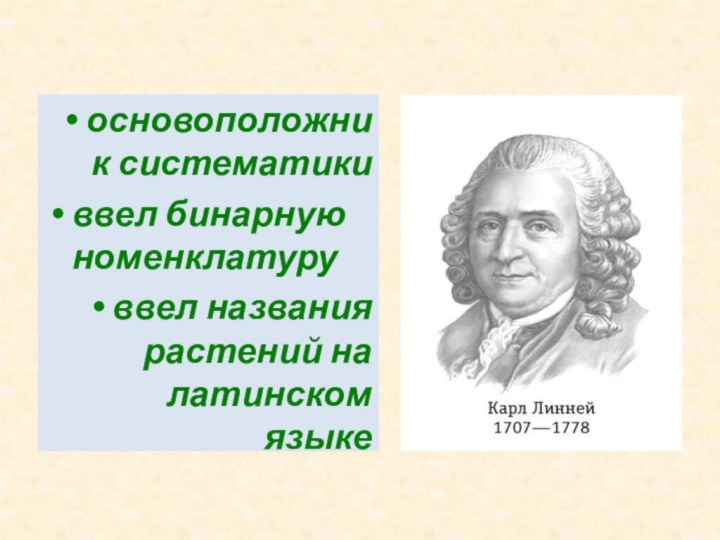 Линней основатель систематики. Бинарная номенклатура на латинском. Бинарную номенклатуру предложил. Кто ввел бинарную номенклатуру.