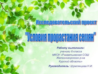 Исследовательская деятельность по биологии на тему Условия прорастания семян (6 класс)