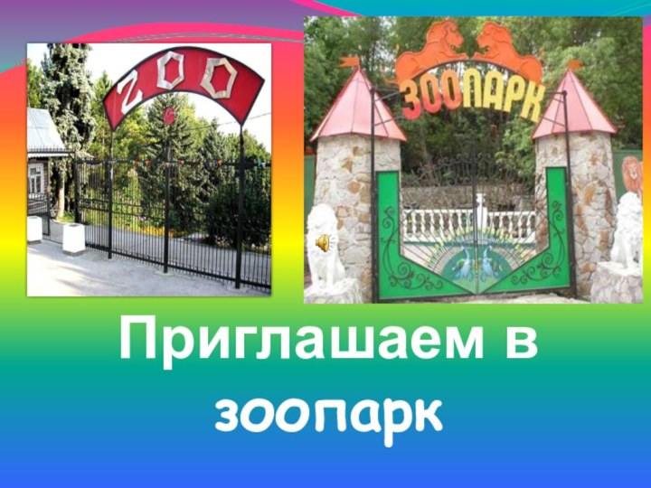 Приглашаем в зоопарк