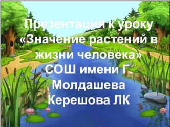 Презентация к уроку Значение растений в жизни человека