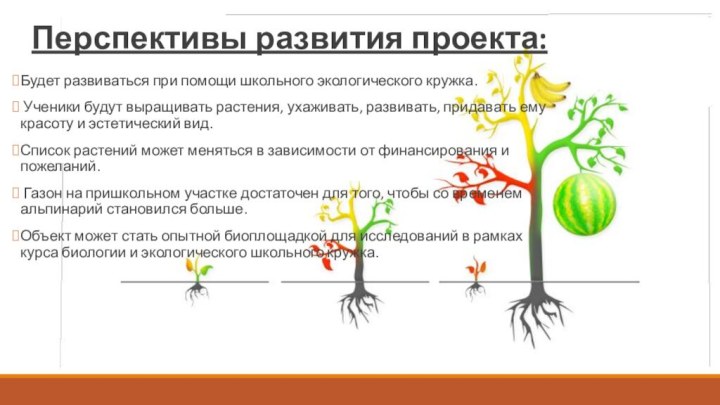 Перспективы развития проекта: Будет развиваться при помощи школьного экологического кружка. Ученики будут