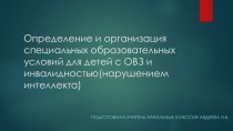 Определение и организация специальных образовательных условий для детей с ОВЗ и инвалидностью.