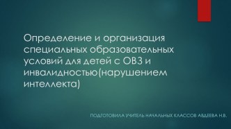 Определение и организация специальных образовательных условий для детей с ОВЗ и инвалидностью.