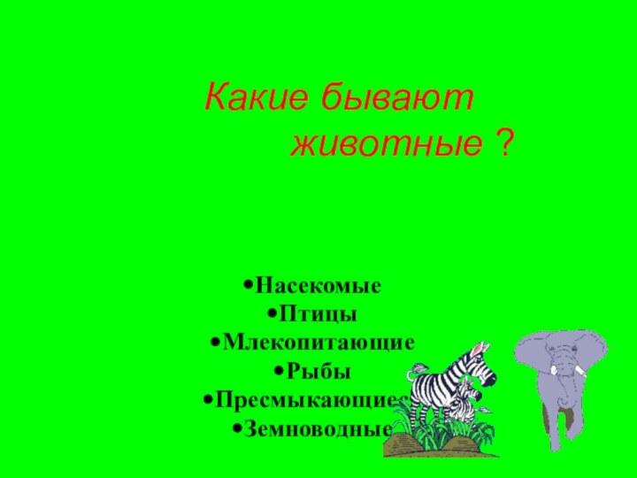 Какие бывают        животные ?НасекомыеПтицыМлекопитающиеРыбыПресмыкающиесяЗемноводные