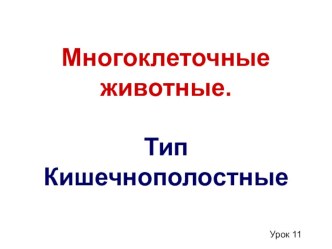 Презентация к уроку по биологии для 7 класса на тему Многоклеточные животные. Тип Кишечнополостные.