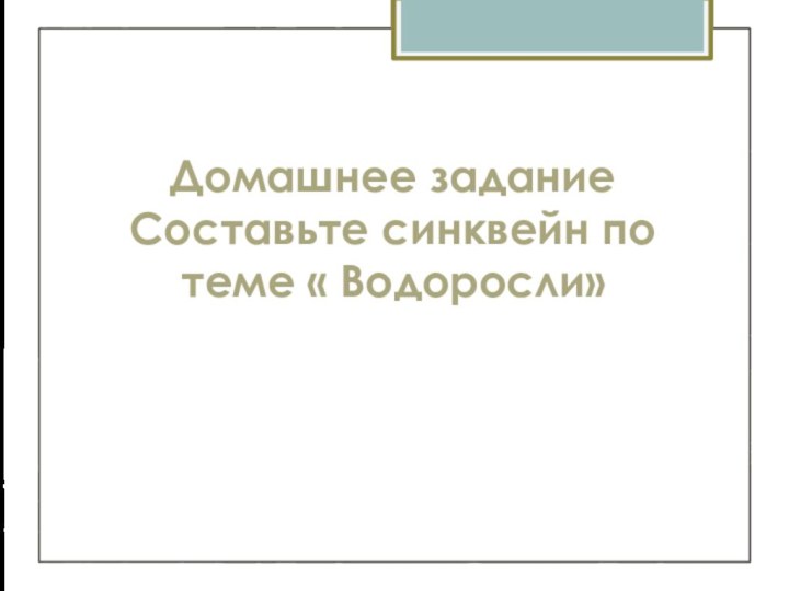 Домашнее задание Составьте синквейн по теме « Водоросли»