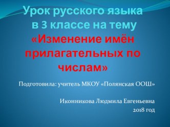 Презентация по русскому языку 3 класс по теме: Изменение имен прилагательных по числам