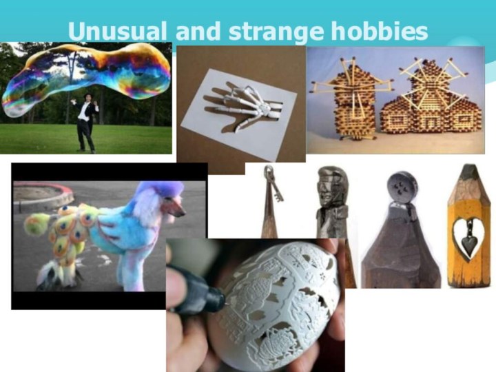 Unusual and strange hobbies