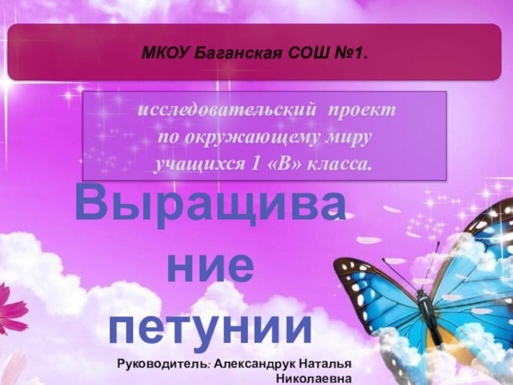 исследовательский проектпо окружающему миру учащихся 1 «В» класса.МКОУ Баганская СОШ №1.Выращивание петунииРуководитель: Александрук Наталья Николаевна