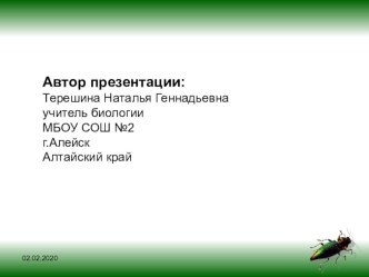 Презентация по биологии 7 класс на тему Отряды насекомых: Таракановые, Прямокрылые, Подёнки, Уховертки