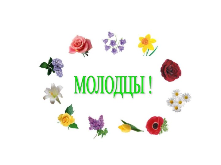 МОЛОДЦЫ !