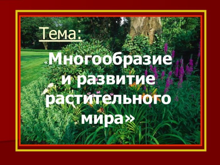 Тема:«Многообразие и развитие растительного мира»