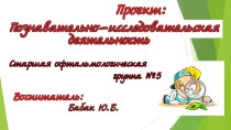 Презентация : Познавательно-исследовательская деятельность