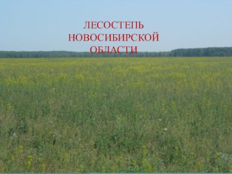 Презентация по экологии на тему Лесостепь Новосибирской области