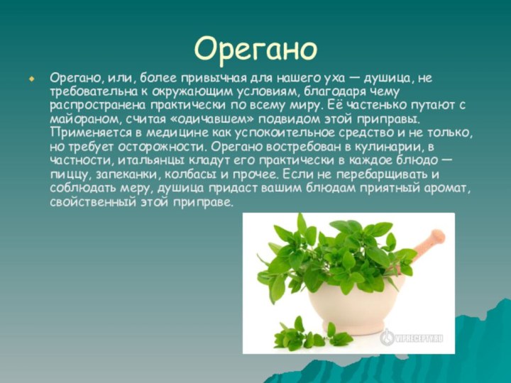 ОреганоОрегано, или, более привычная для нашего уха — душица, не требовательна к