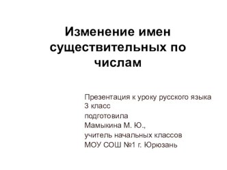 Презентация по русскому языку на тему Изменение имен существительных по числам 13.02.2009