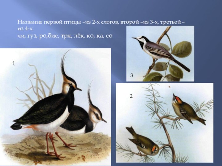 Название первой птицы –из 2-х слогов, второй –из 3-х, третьей –из 4-х.