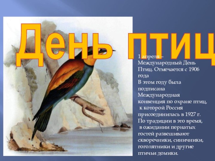 День птиц1 апреля – Международный День Птиц. Отмечается с 1906 года В