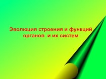 Презентация урока биологии в 7 классе по теме Нервная система