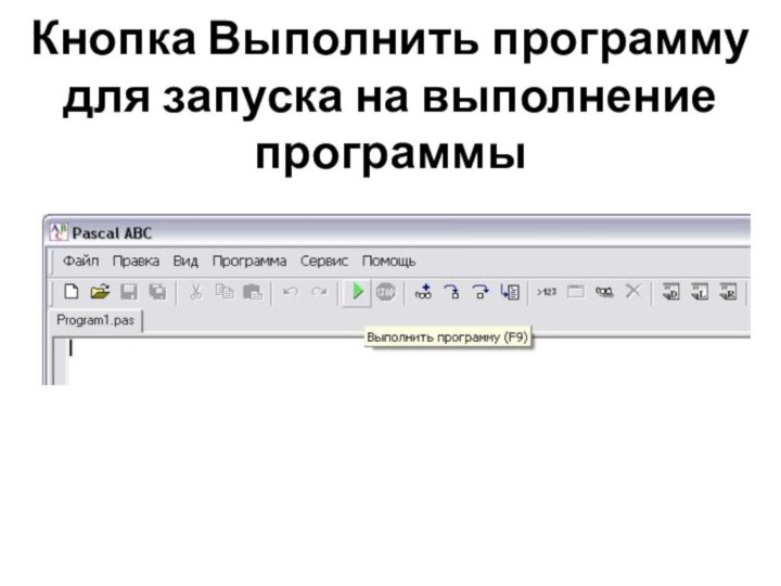 Кнопка Выполнить программу  для запуска на выполнение программы