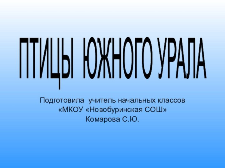 Подготовила учитель начальных классов  «МКОУ «Новобуринская СОШ»Комарова С.Ю.ПТИЦЫ ЮЖНОГО УРАЛА