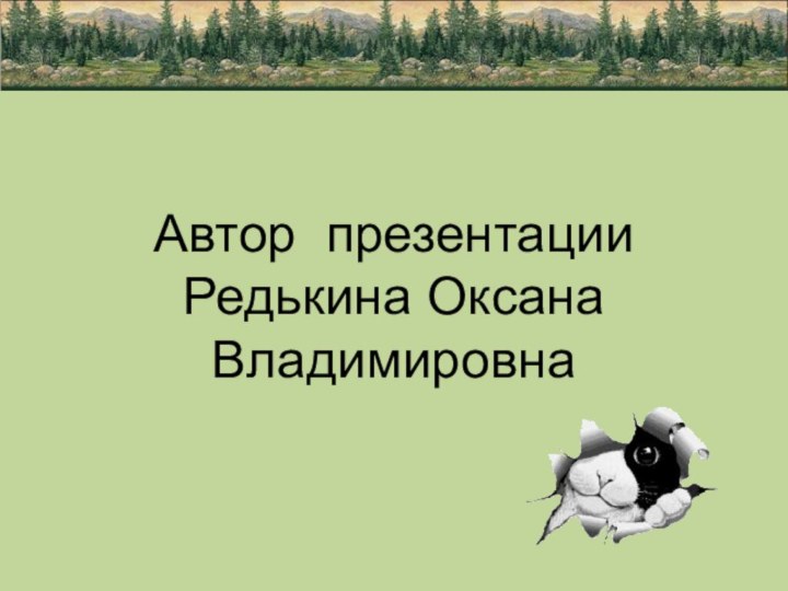 Автор презентации Редькина Оксана Владимировна