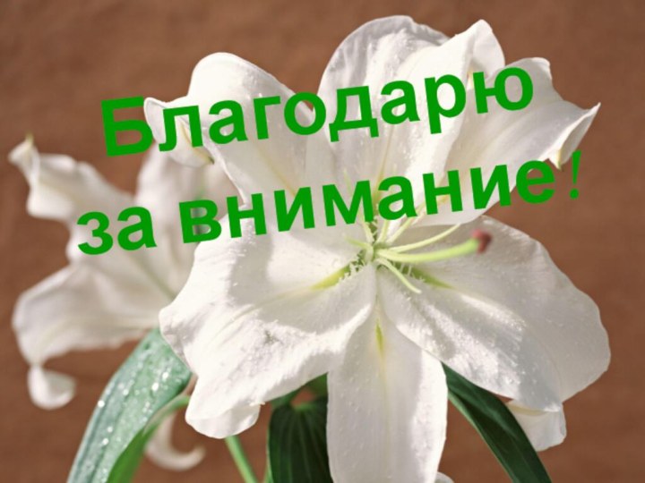 Благодарю за внимание!