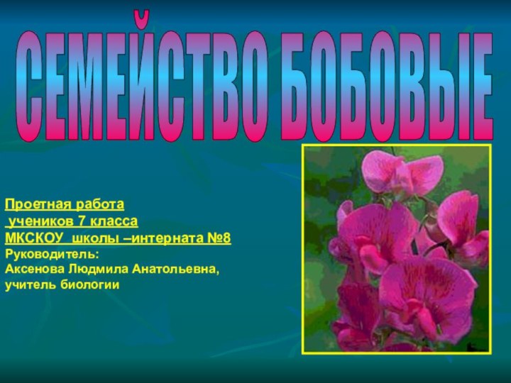 СЕМЕЙСТВО БОБОВЫЕ Проетная работа учеников 7 классаМКСКОУ школы –интерната №8Руководитель:Аксенова Людмила Анатольевна,учитель биологии