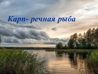 Презентация к уроку по технологии в 6 классе по теме Рыба. Блюда из рыбы.