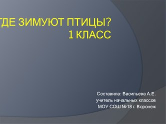 Презентация к уроку окружающего мира на тему Где зимуют птицы? (1 класс)