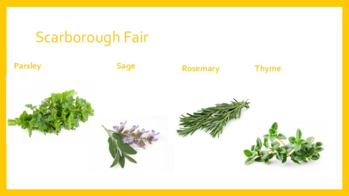 Scarborough FairParsley