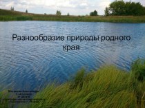 Разнообразие природы Рязанской области