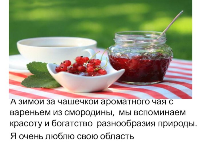 А зимой за чашечкой ароматного чая с вареньем из смородины,